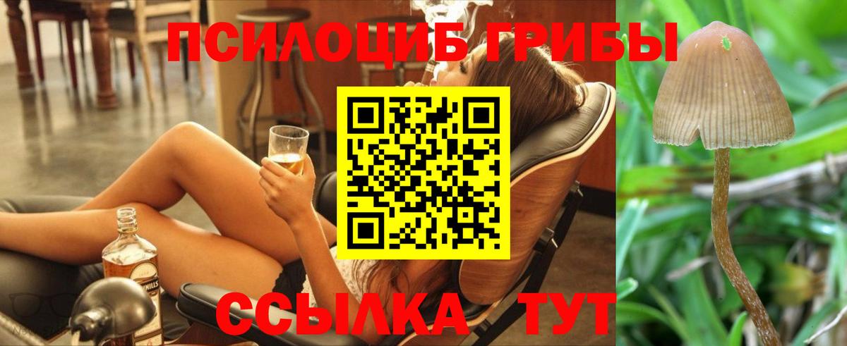 Псилоцибиновые грибы GOLDEN TEACHER  Вход с VPN  дарнет шоп  Щёлково 